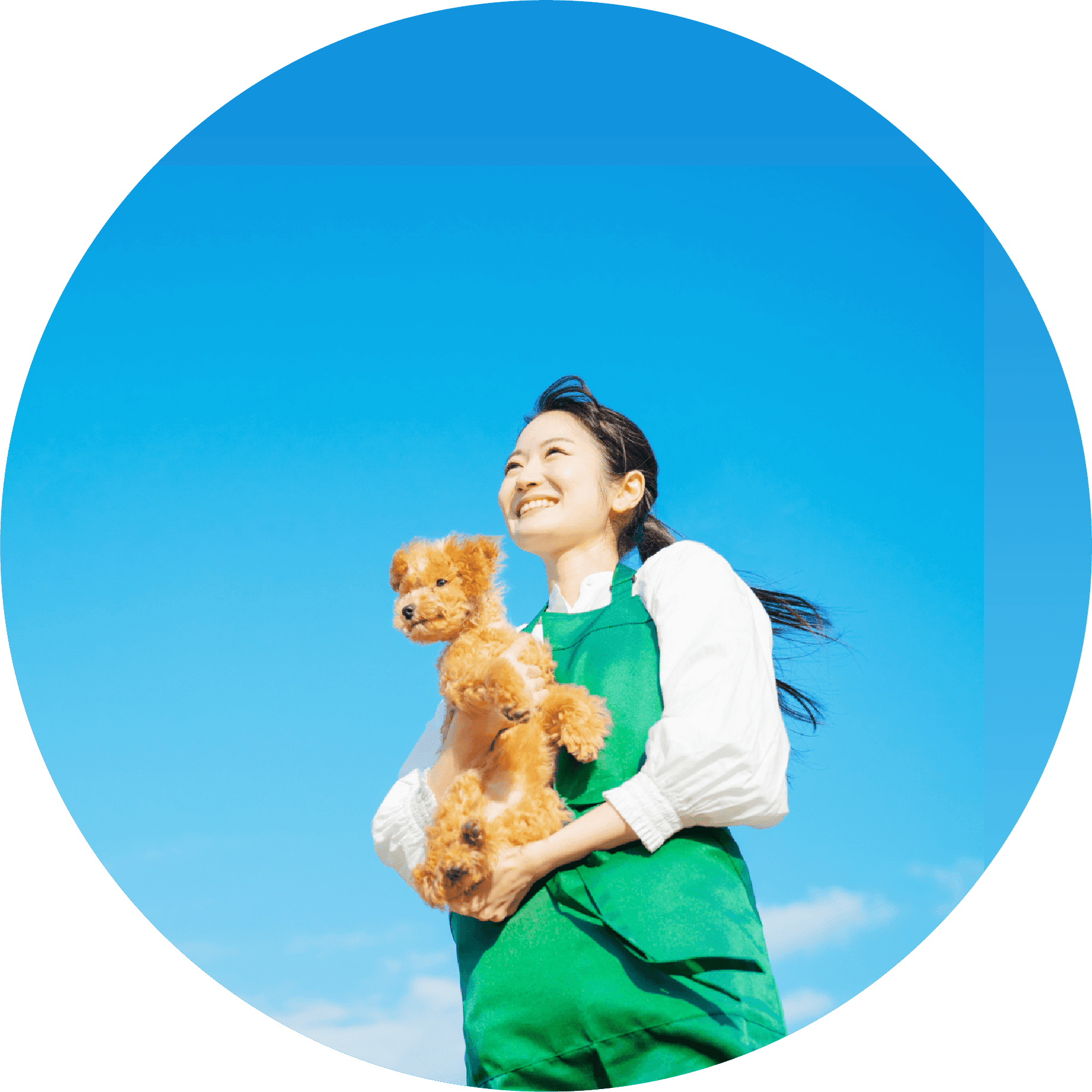 貴志商店 四国 徳島 ペット用品