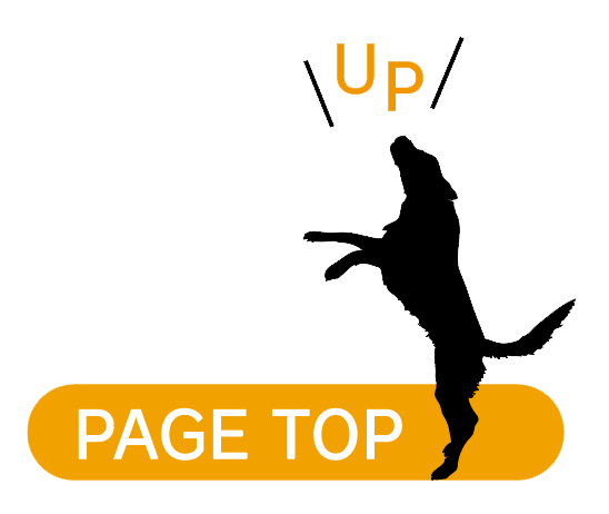 ページトップボタン